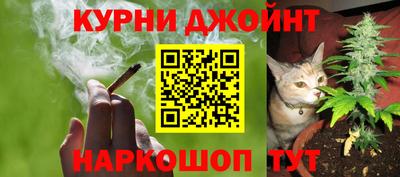 МДПВ Гатчина