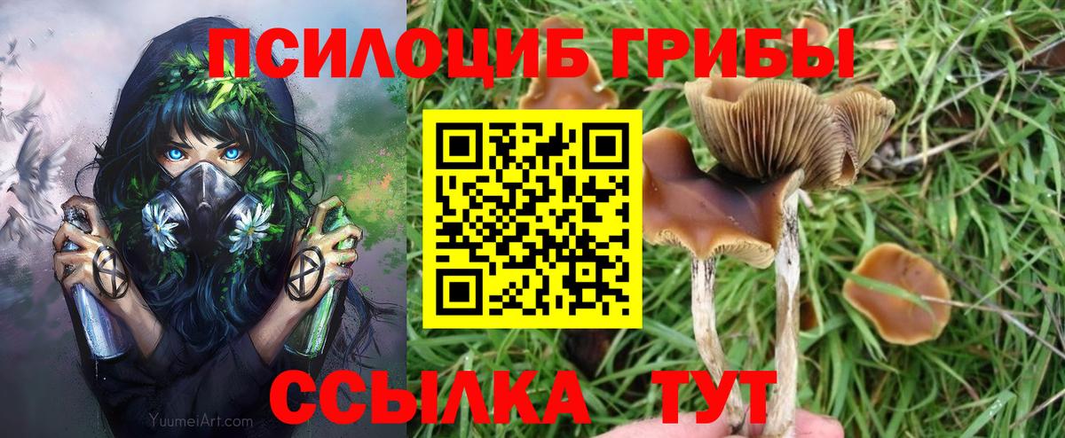 Екатеринбург  Галлюциногенные грибы Psilocybine cubensis  Галлюциногенные грибы Psilocybe  Вход с VPN 