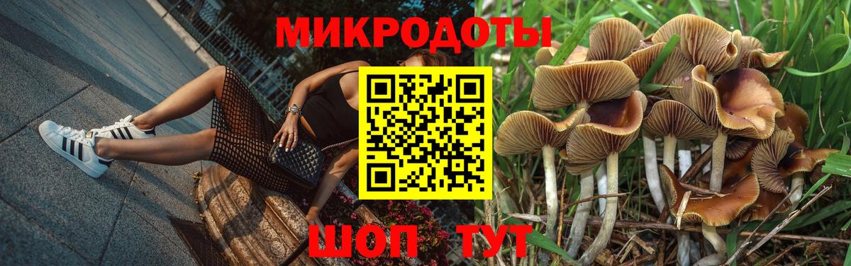 Галлюциногенные грибы мухоморы Екатеринбург